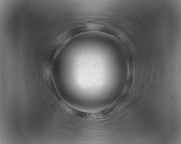 X0000055510329200508121024