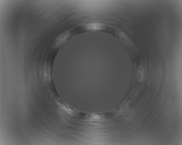 X0000055510330200508121024