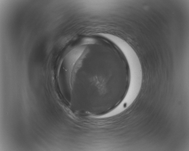 X0000055510331200508121024