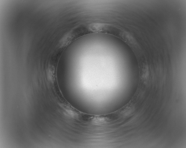 X0000055510332200508121023