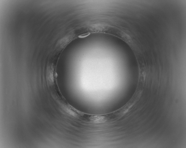X0000055510334200508121023