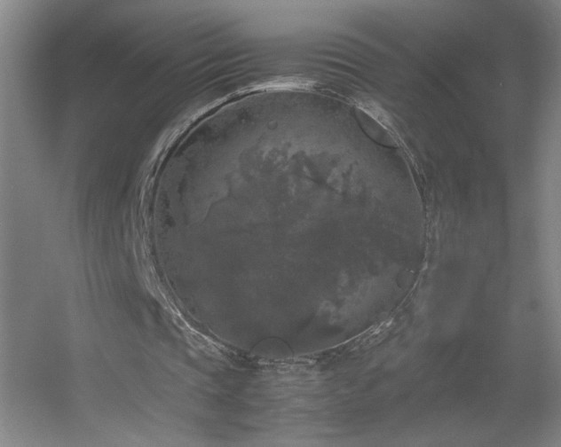 X0000055510337200508121023