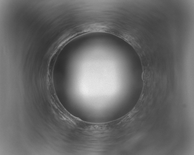 X0000055510338200508121023
