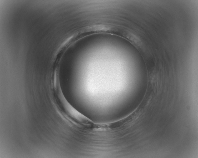X0000055510352200508121023
