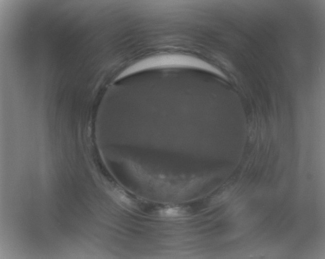 X0000055510365200508121023