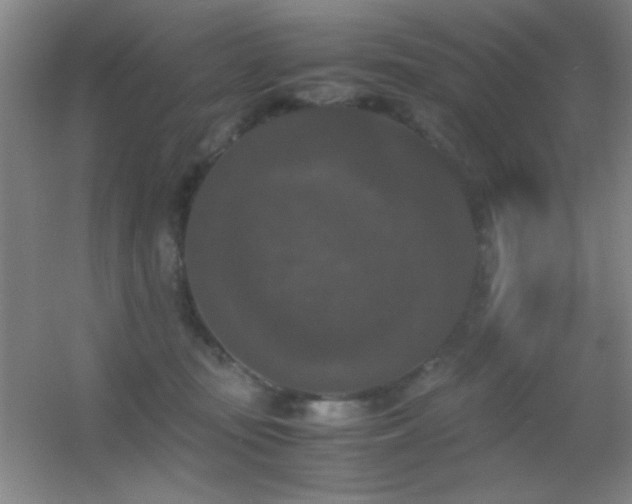 X0000055510371200508121023