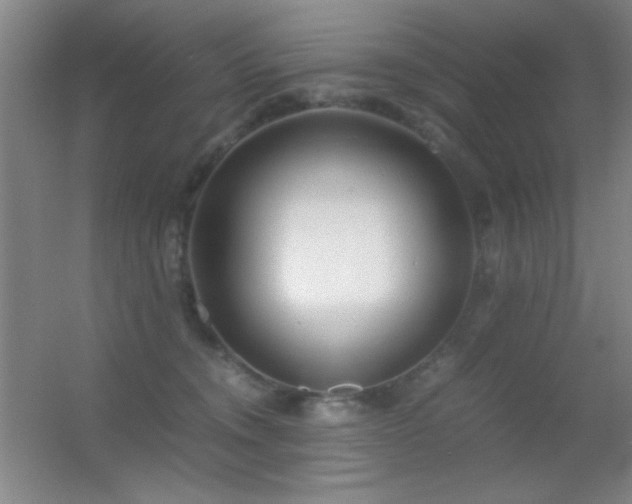 X0000055510372200508121023