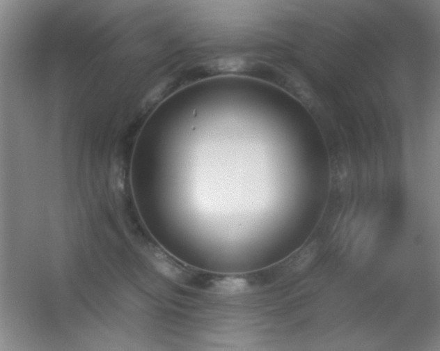 X0000055510374200508121023
