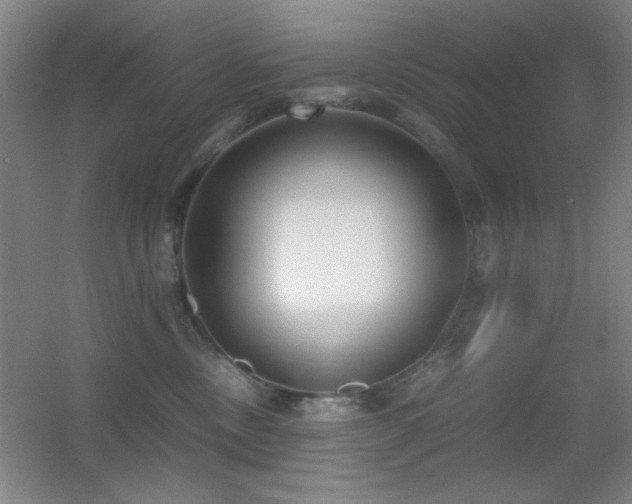 X0000055510378200508121023