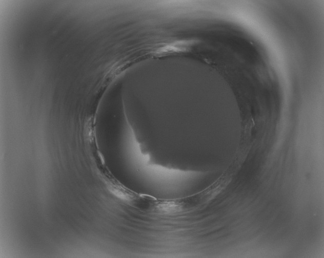 X0000055510383200508121023