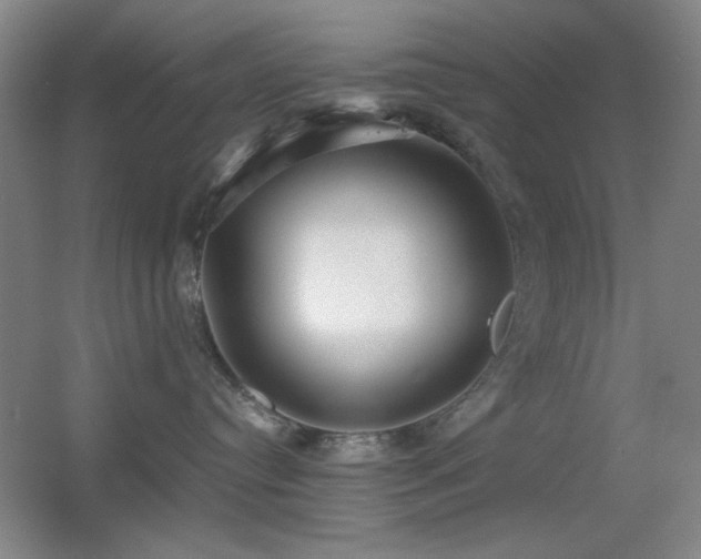 X0000055510384200508121023