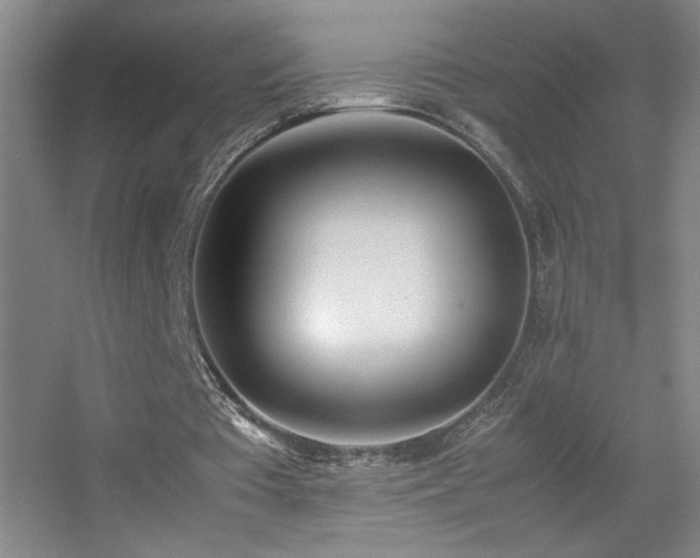 X0000055510385200508121023