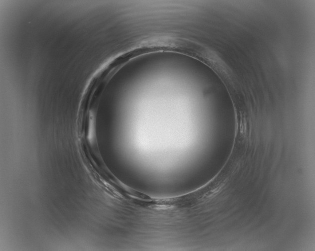 X0000055510388200508121023