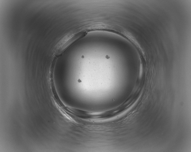 X0000055510389200508121023