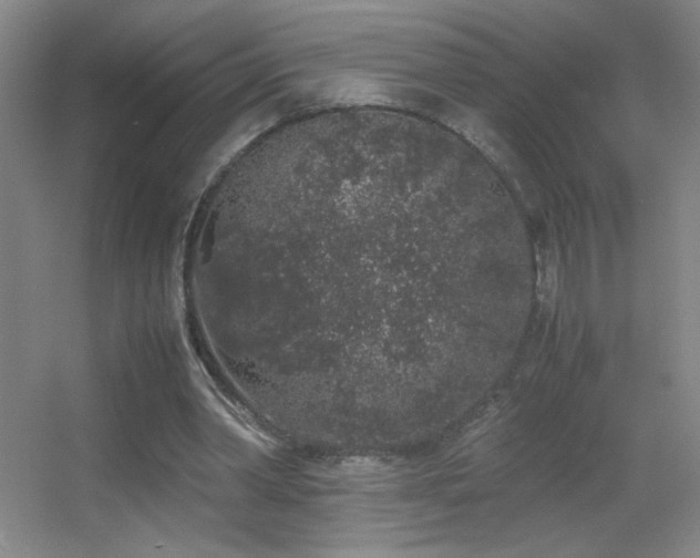 X0000055510390200508121022