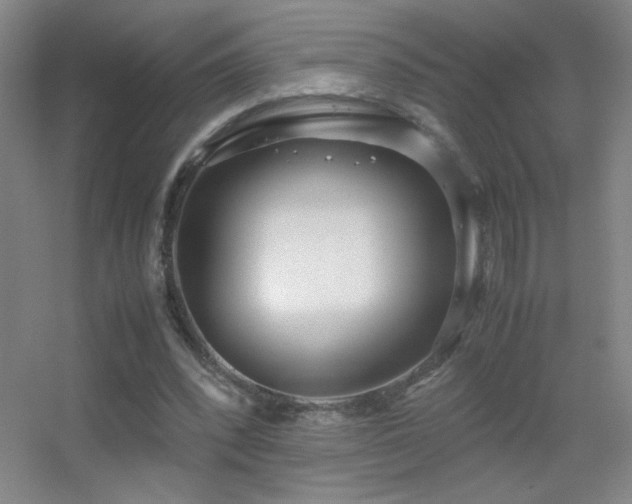 X0000055510392200508121022