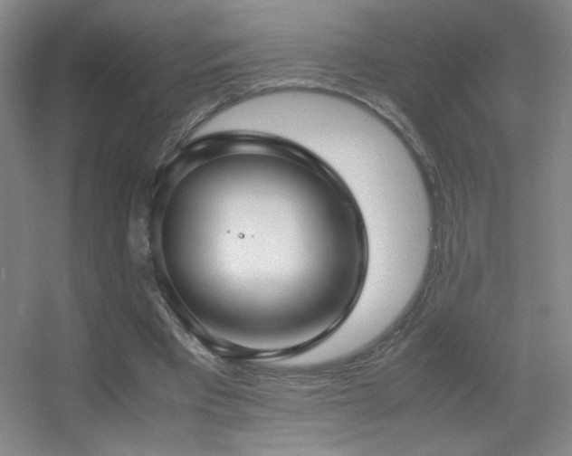 X0000055510393200508121022