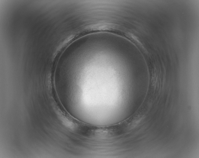 X0000055510394200508121022