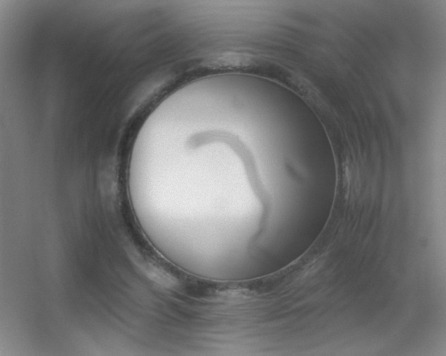 X0000055510396200508121022