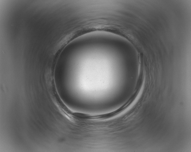 X0000055510397200508121022