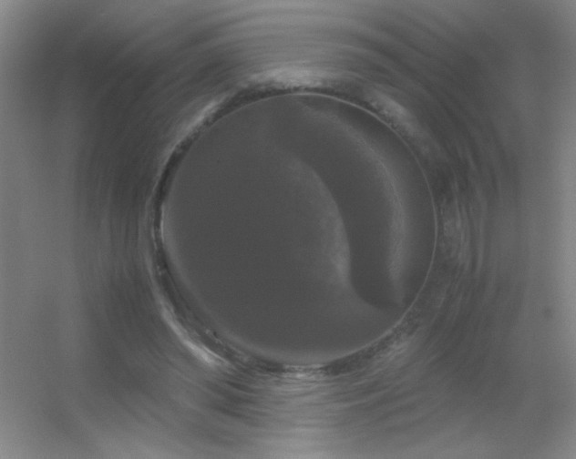 X0000055510398200508121022