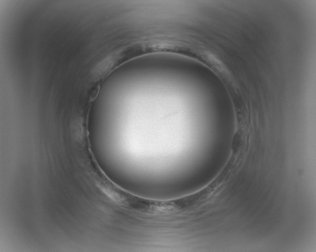 X0000055510401200508121022
