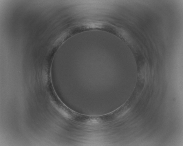 X0000055510402200508121022