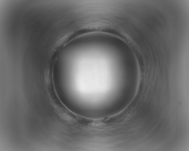 X0000055510403200508121022
