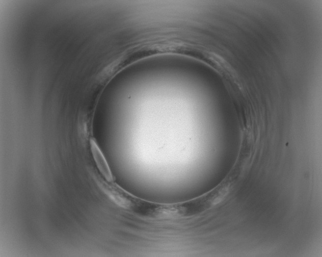 X0000055510405200508121022