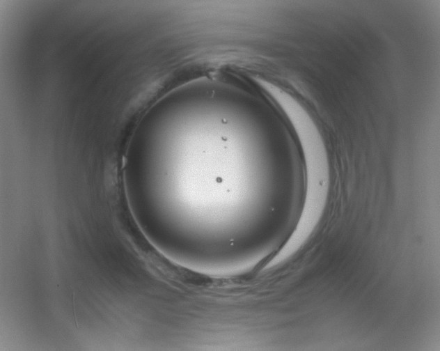 X0000055510407200508121022