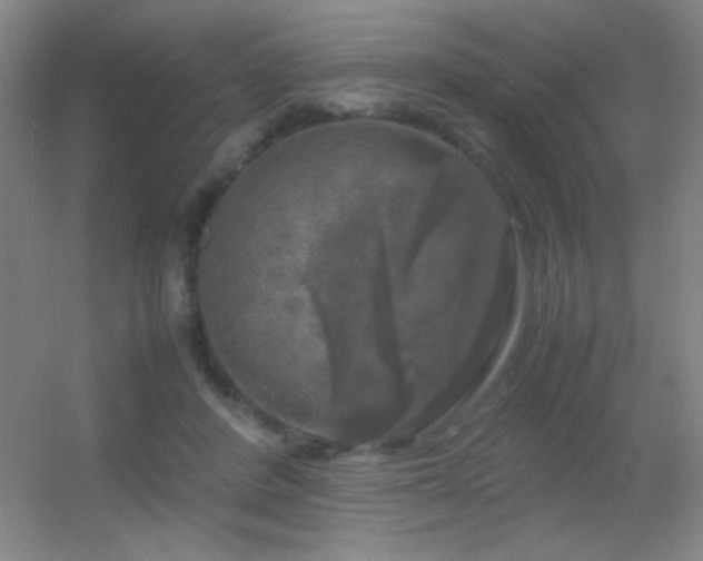X0000055510408200508121022