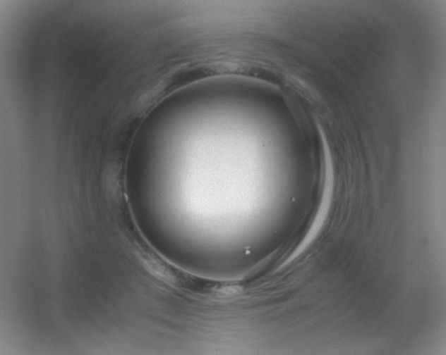 X0000055510409200508121022
