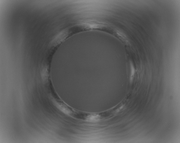 X0000055510410200508121022
