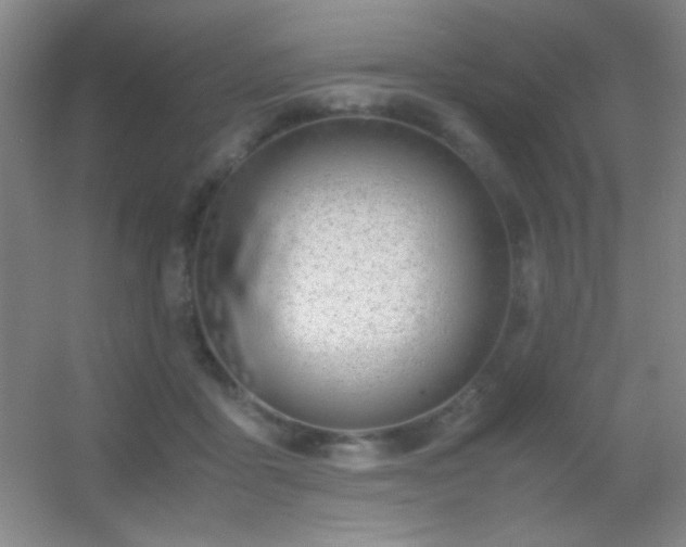 X0000055510411200508121022