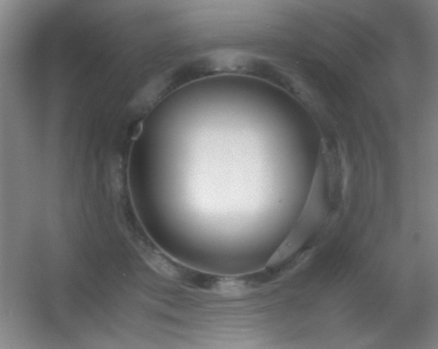 X0000055510413200508121022