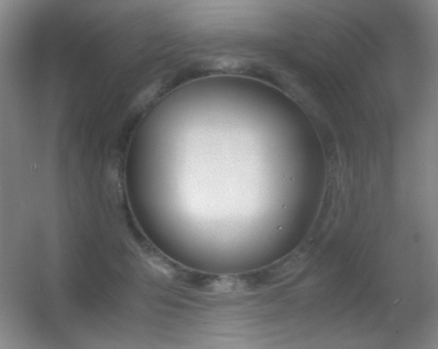 X0000055510415200508121022