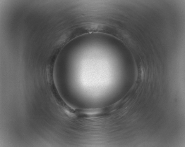 X0000055510416200508121022