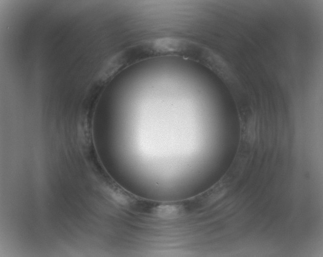 X0000055510418200508121022