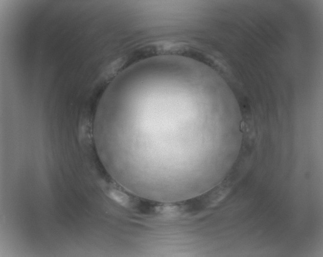 X0000055510419200508121022