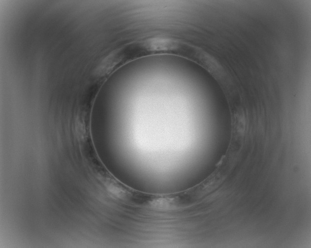 X0000055510422200508121022
