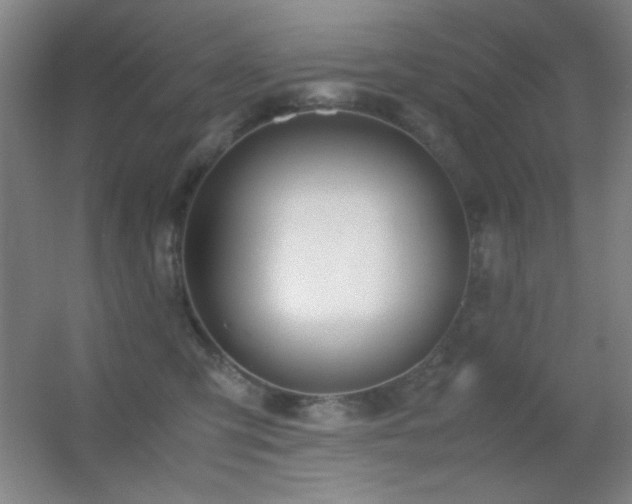 X0000055510423200508121022