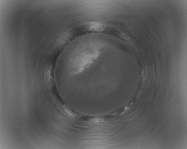 X0000055510424200508121022