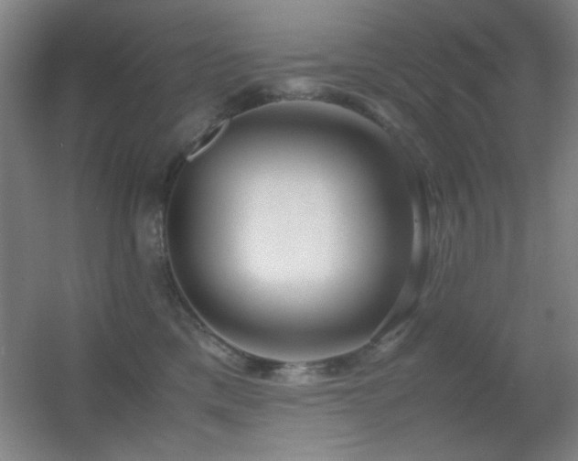 X0000055510425200508121022