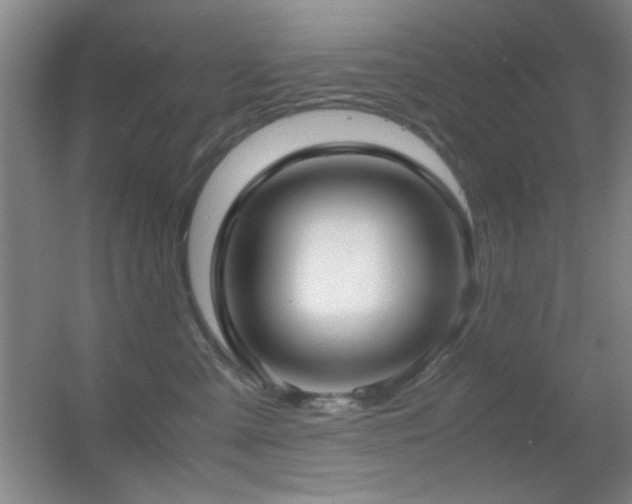 X0000055510427200508121022