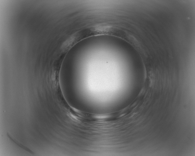 X0000055510428200508121022