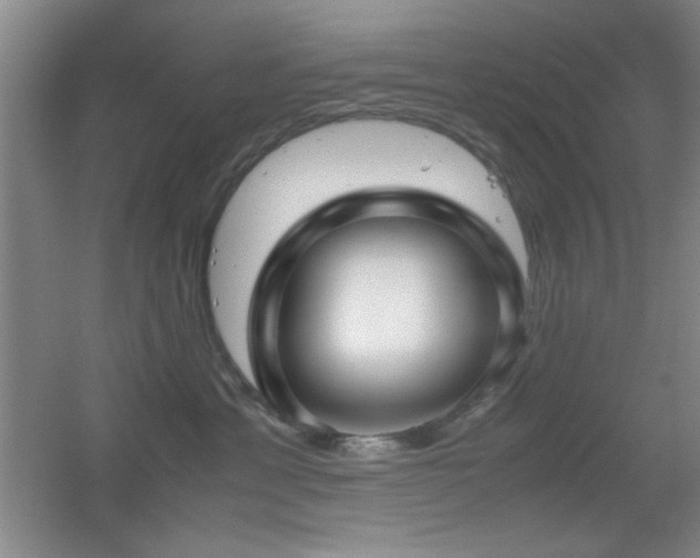 X0000055510429200508121022