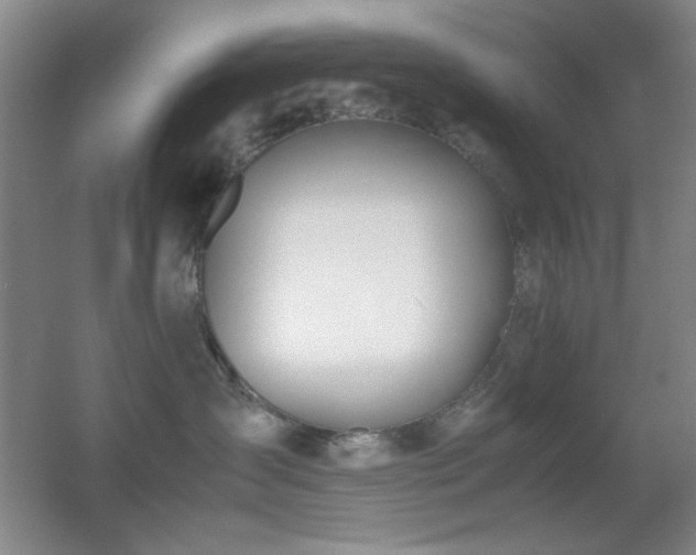 X0000055510431200508121022
