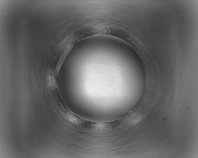 X0000055510432200508121022