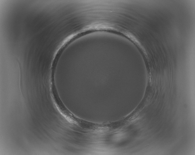 X0000055510438200508121021