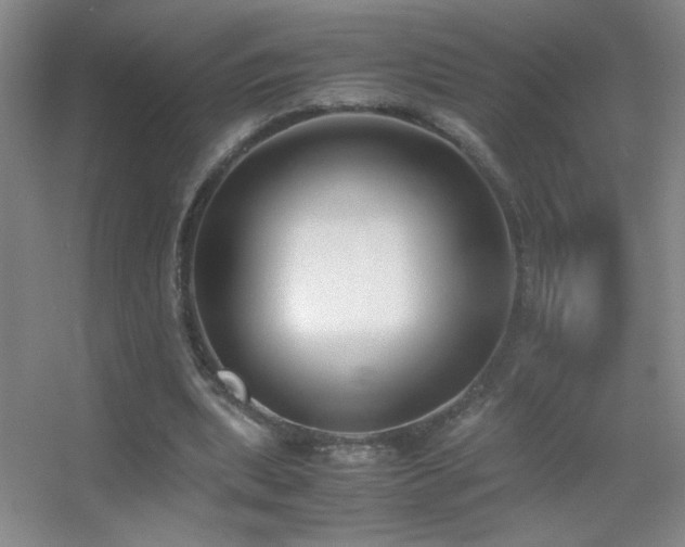 X0000055510439200508121021